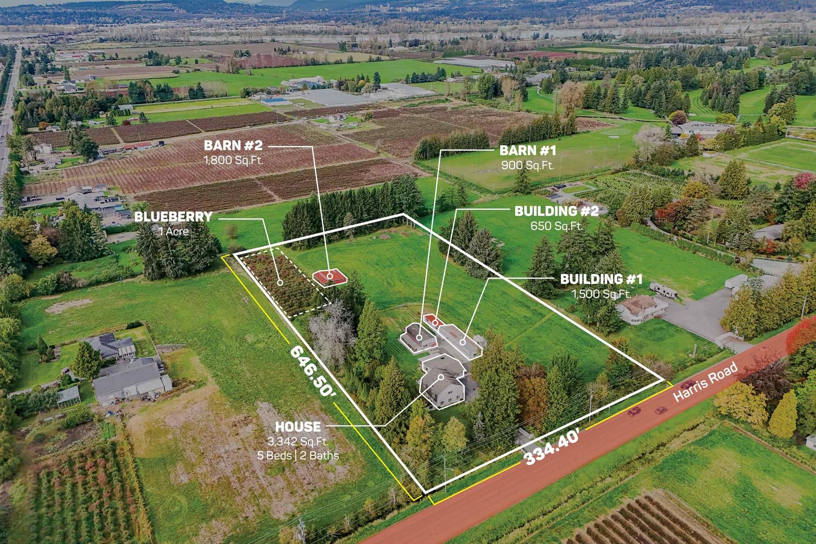 Listing Image 1
