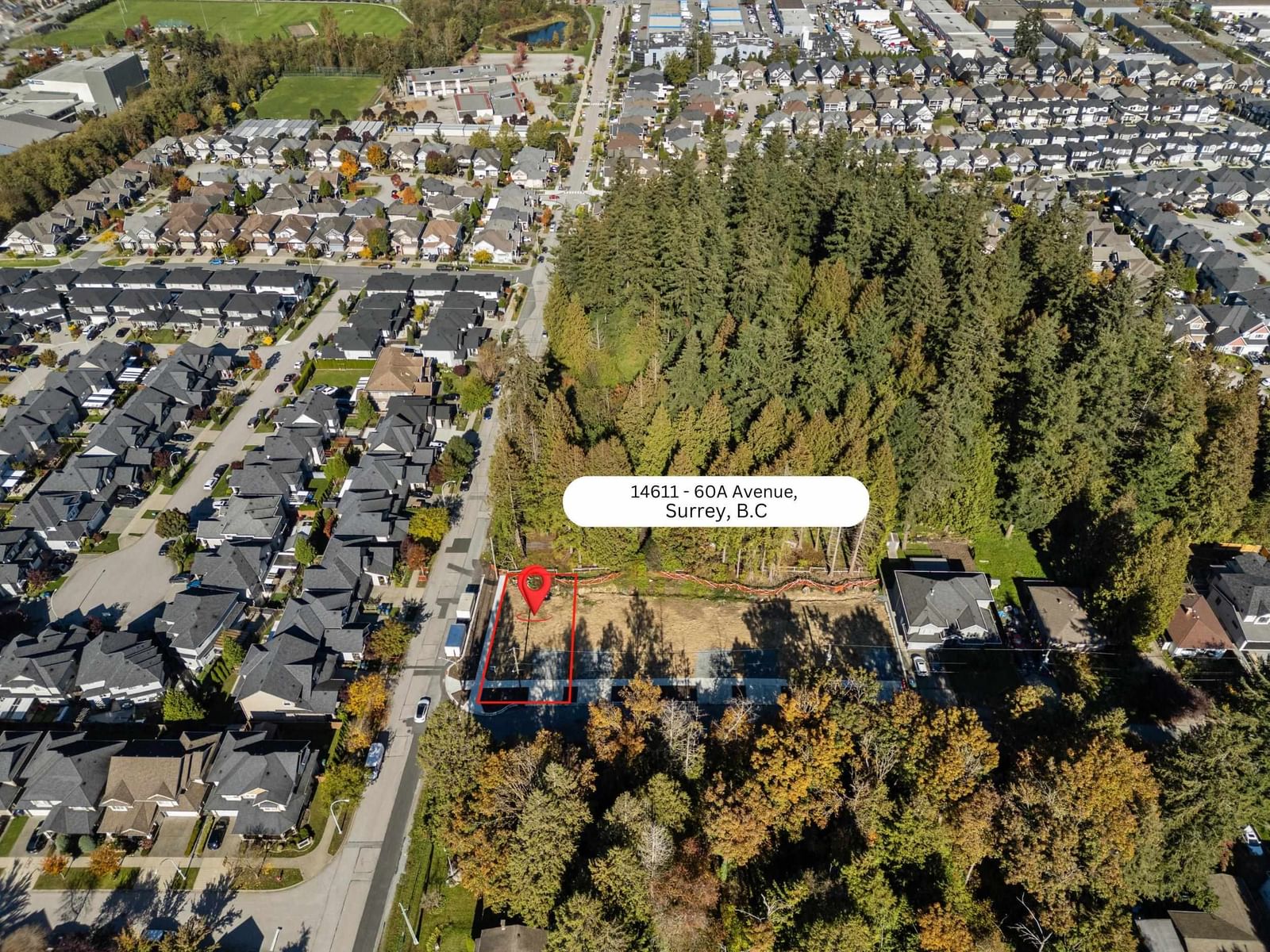 Listing Image 1