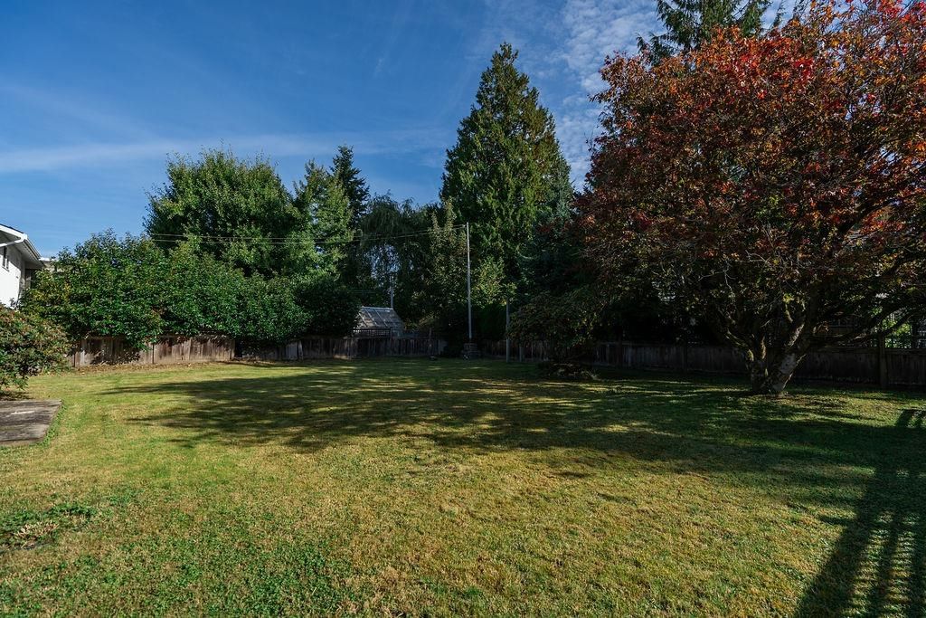 Listing Image 18