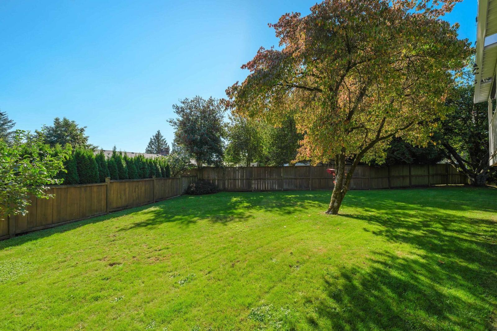 Listing Image 37
