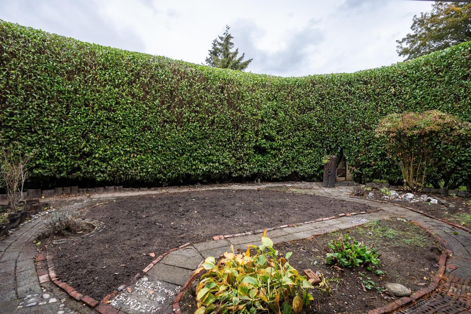 Listing Image 24