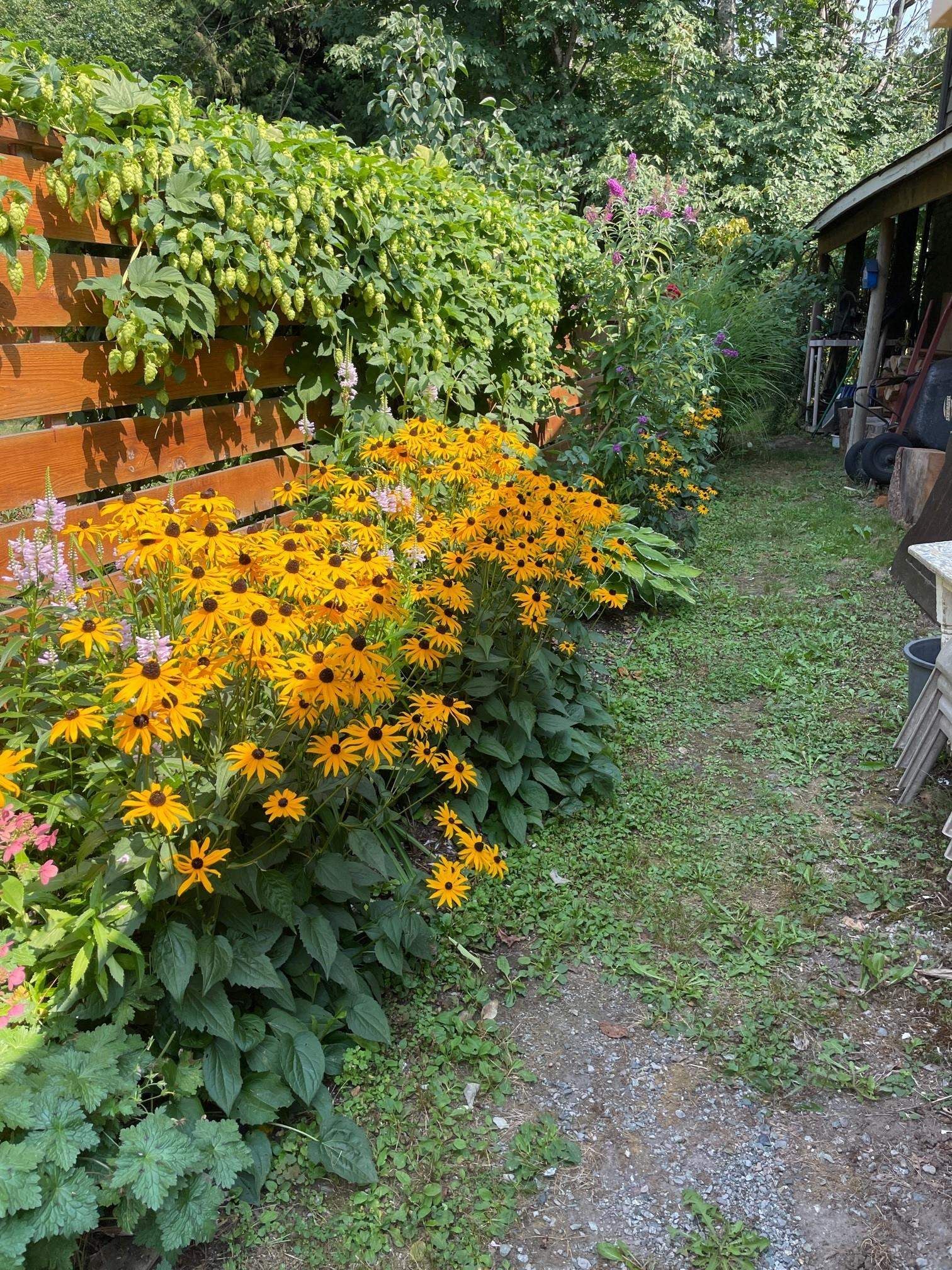 Listing Image 21