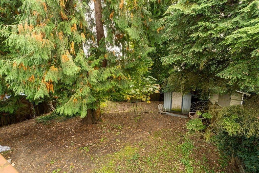 Listing Image 18