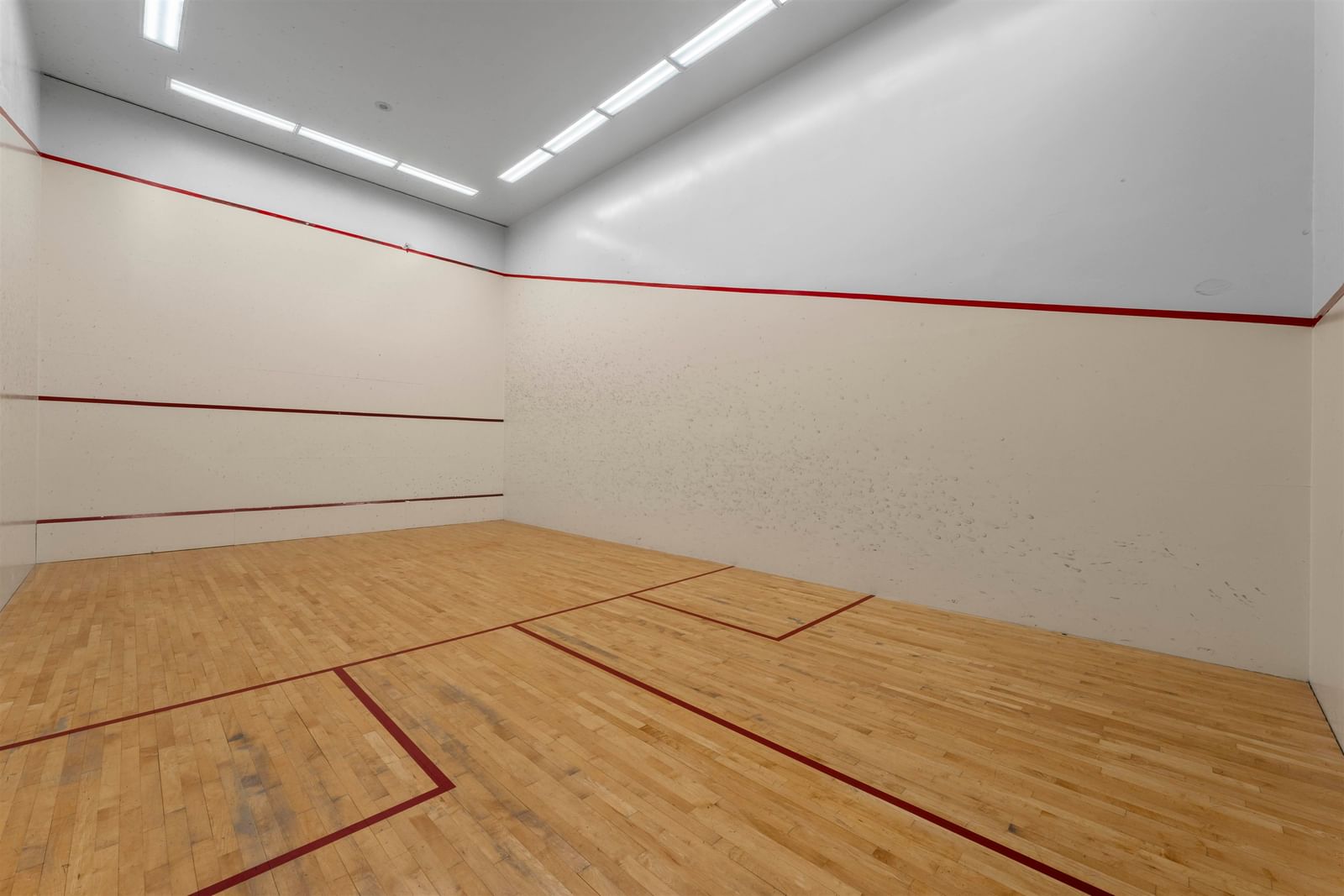 Listing Image 29