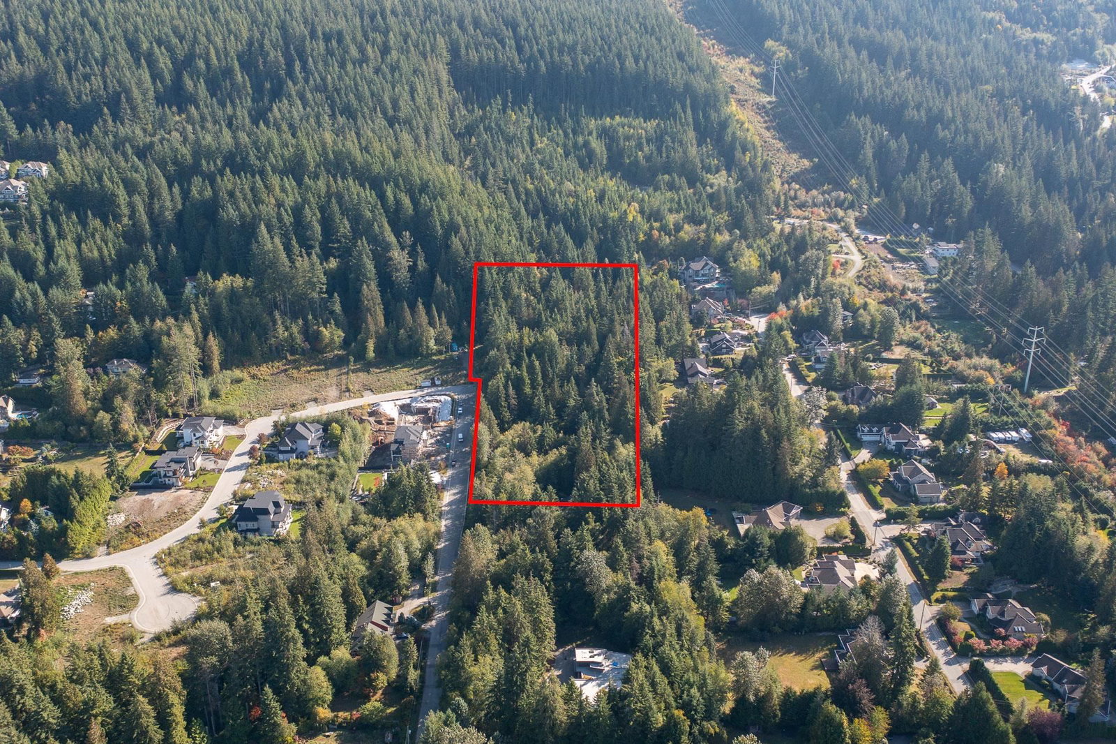 Listing Image 22