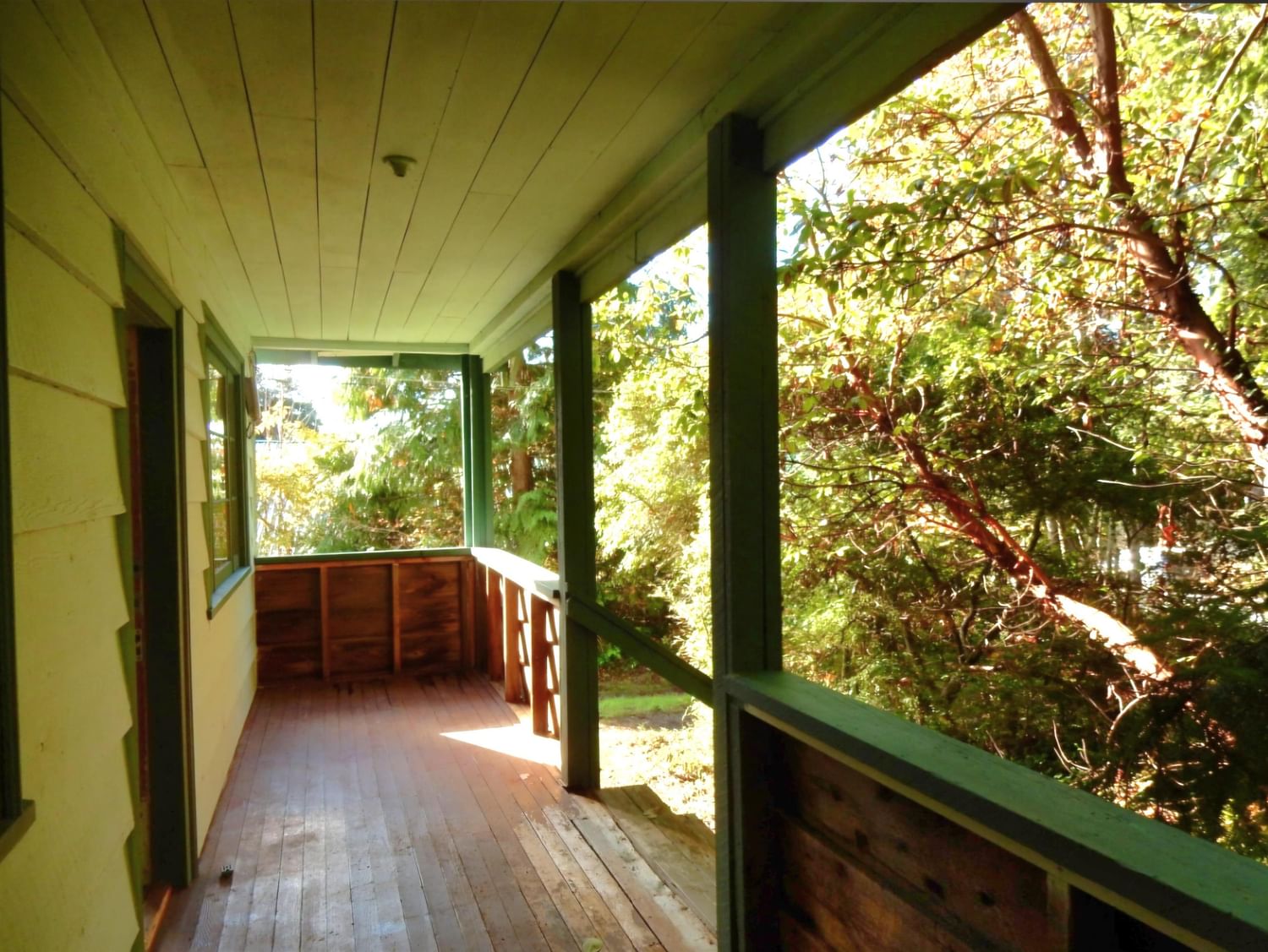 Listing Image 5