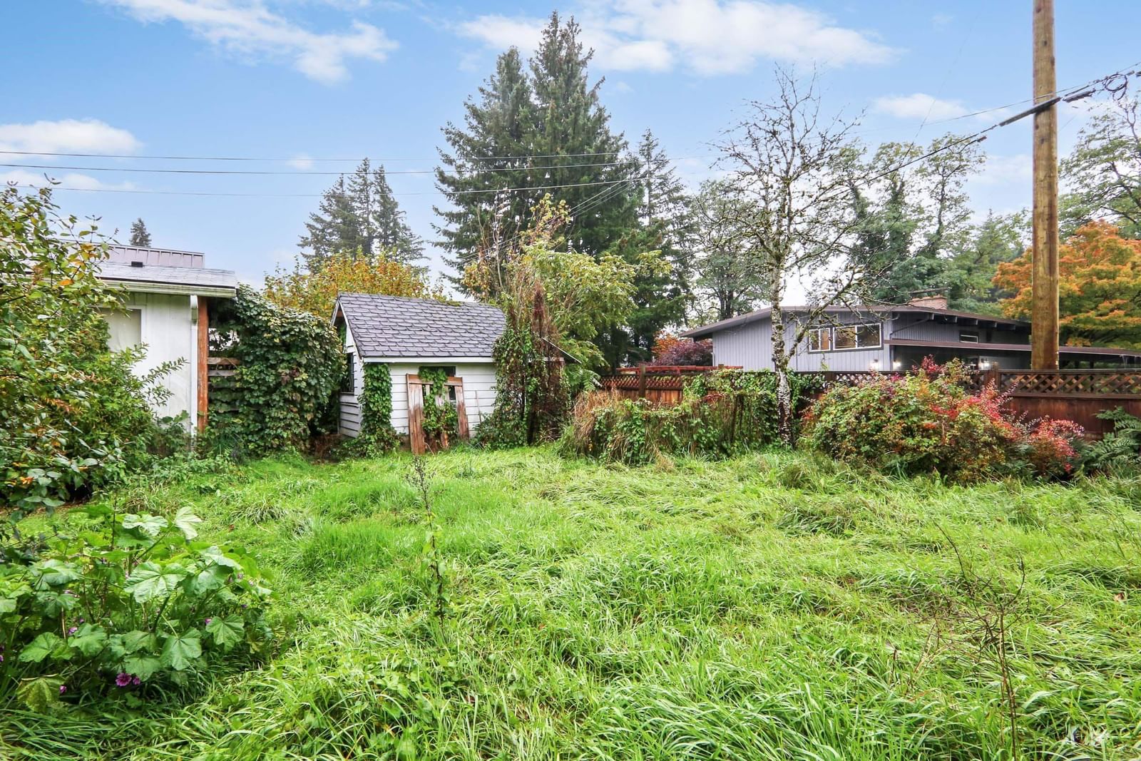 Listing Image 20