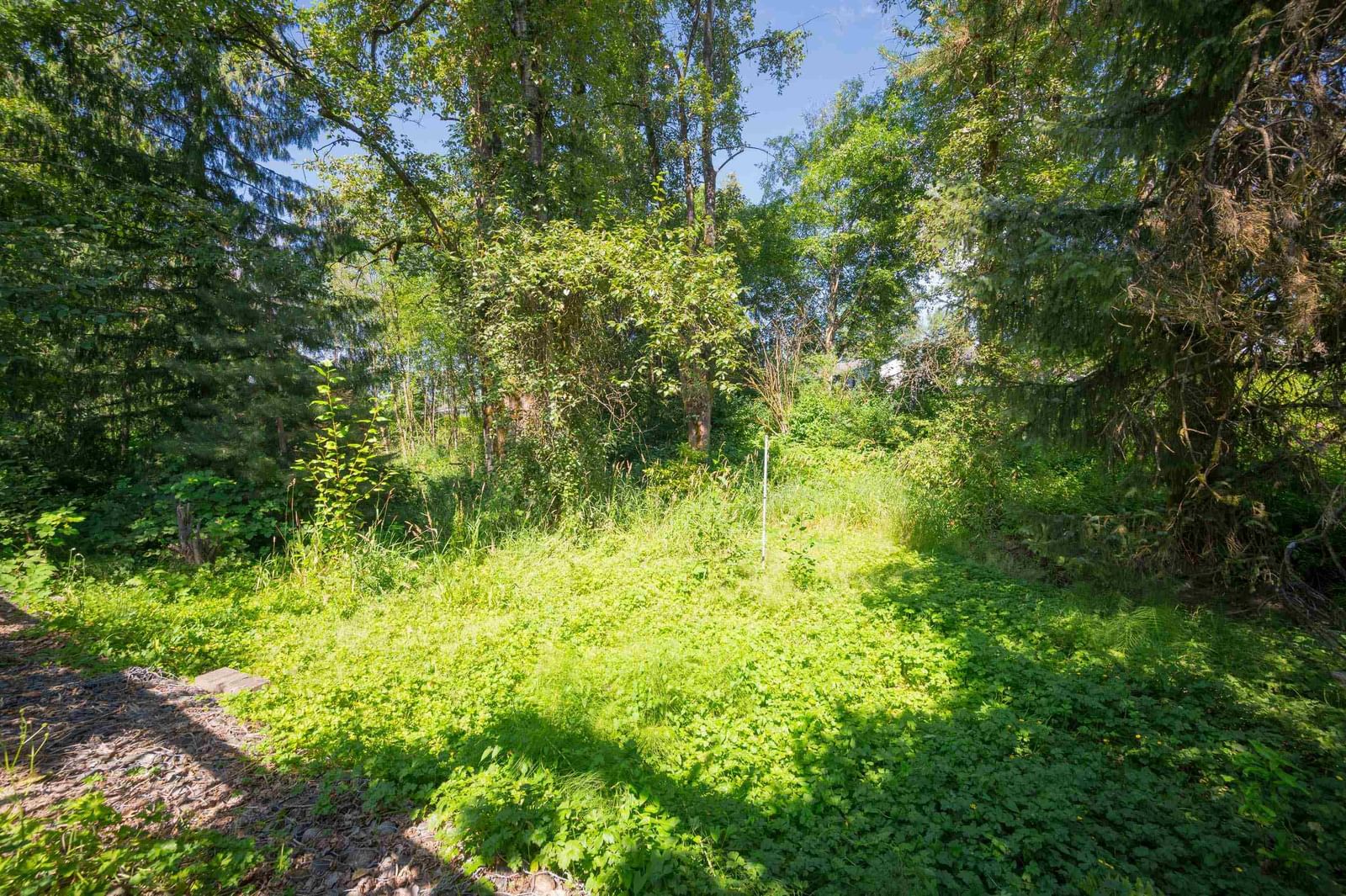 Listing Image 39