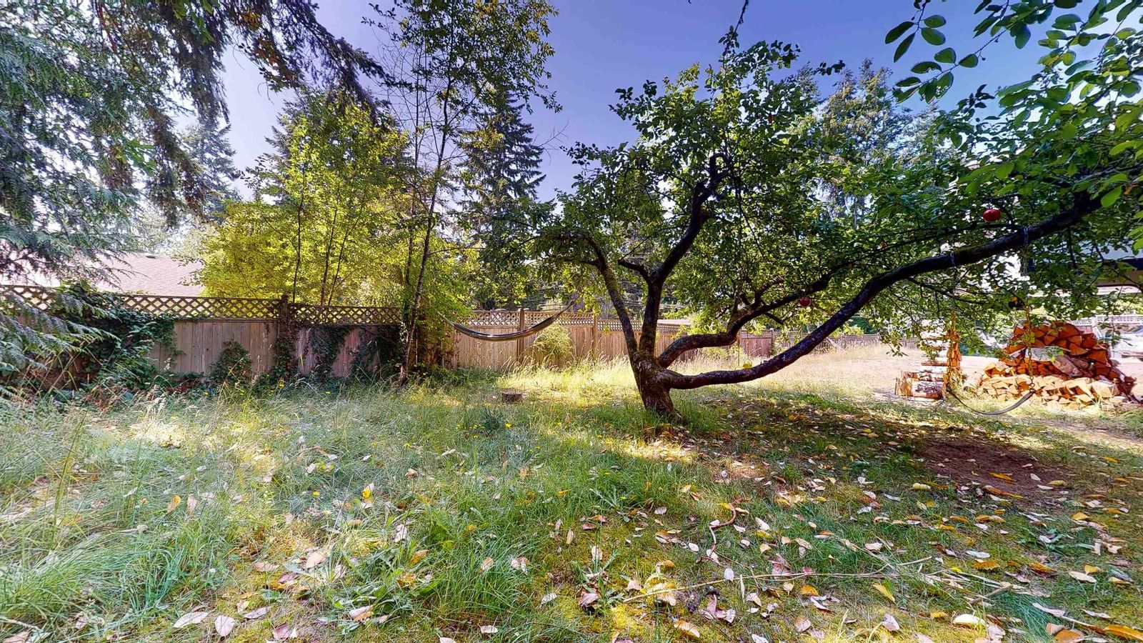 Listing Image 17