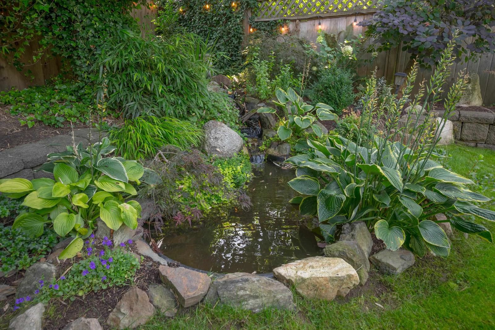 Listing Image 33