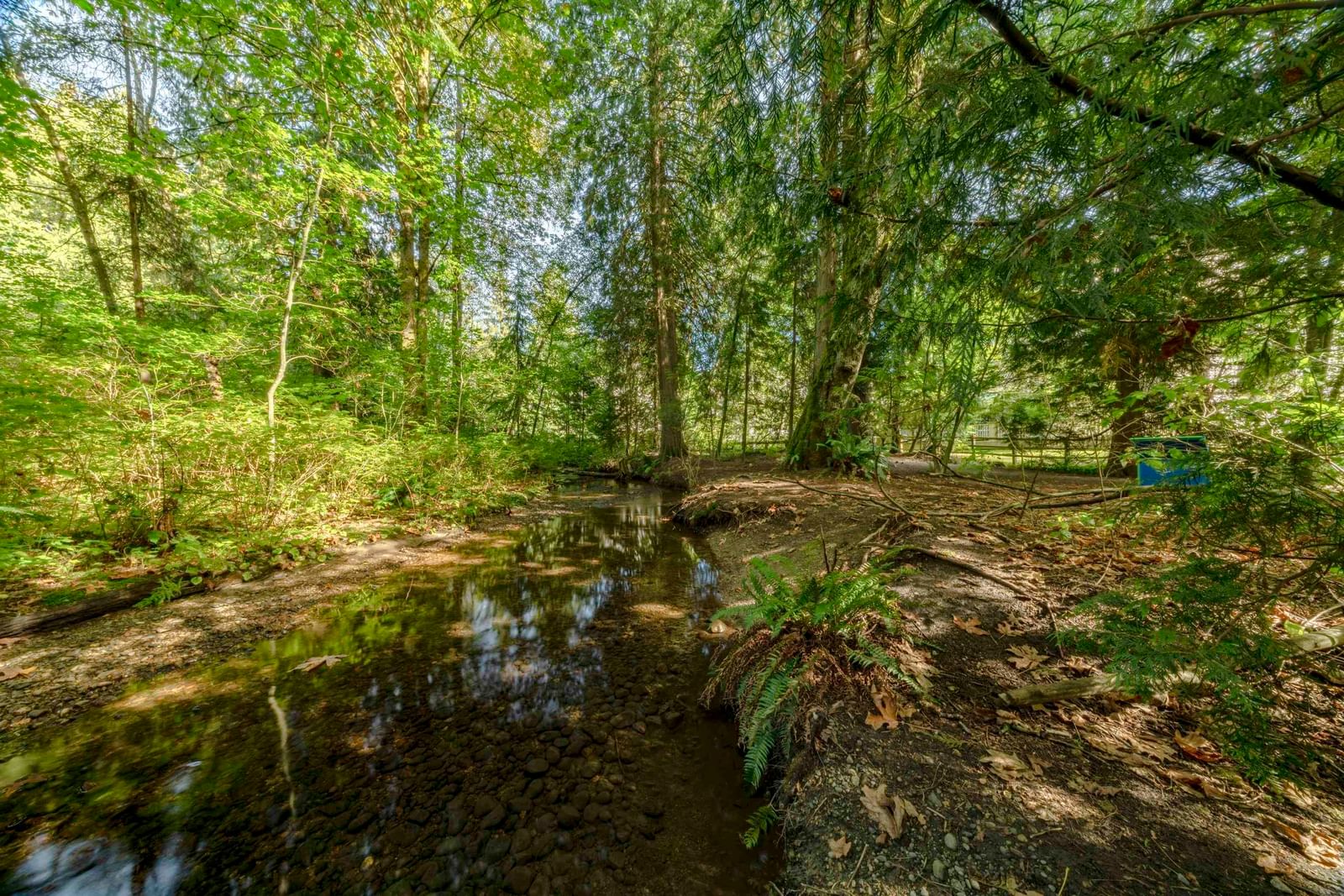 Listing Image 37