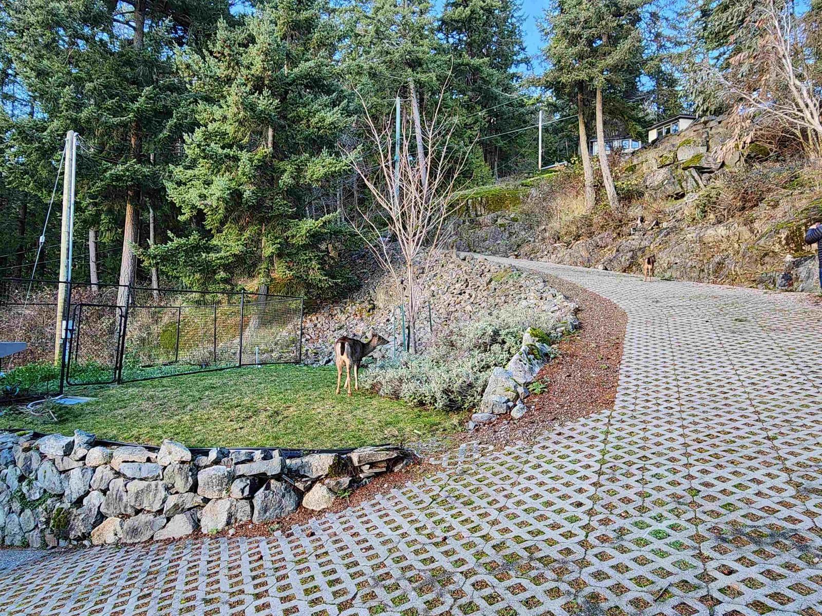 Listing Image 33