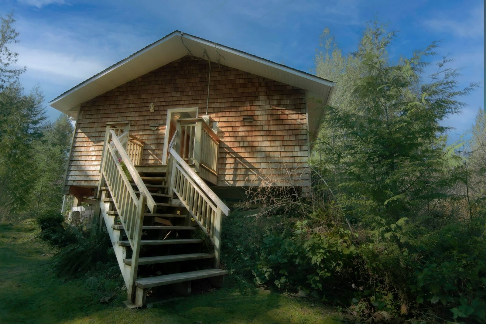 Listing Image 6
