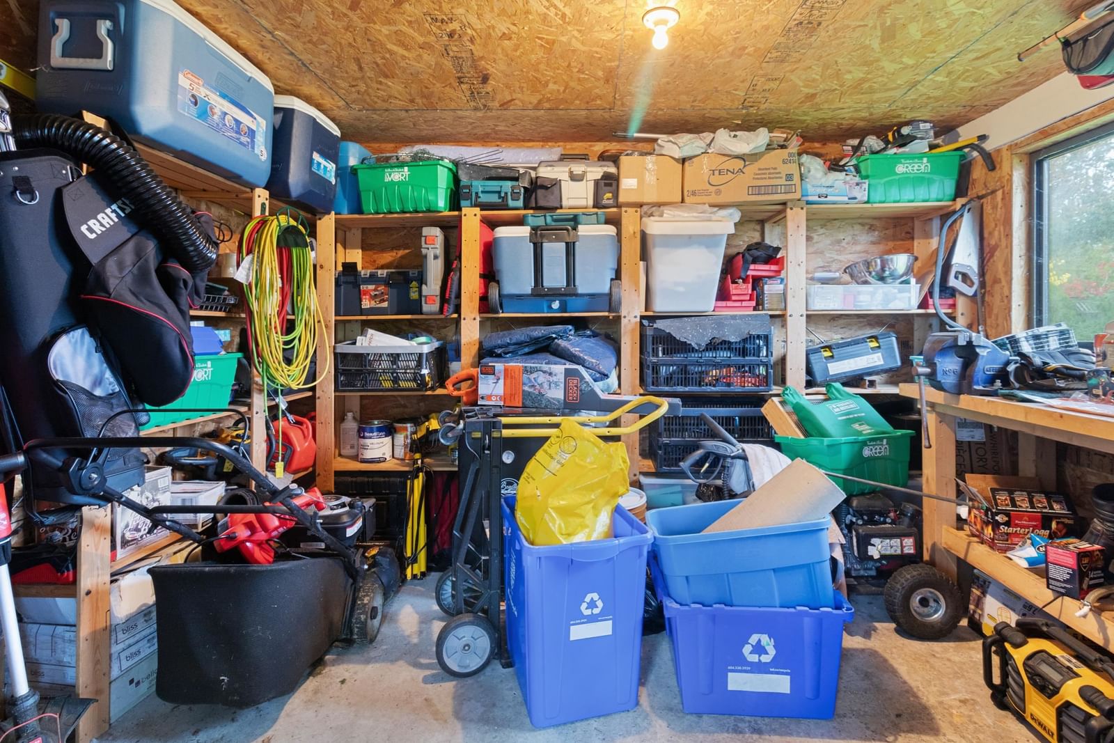 Listing Image 31