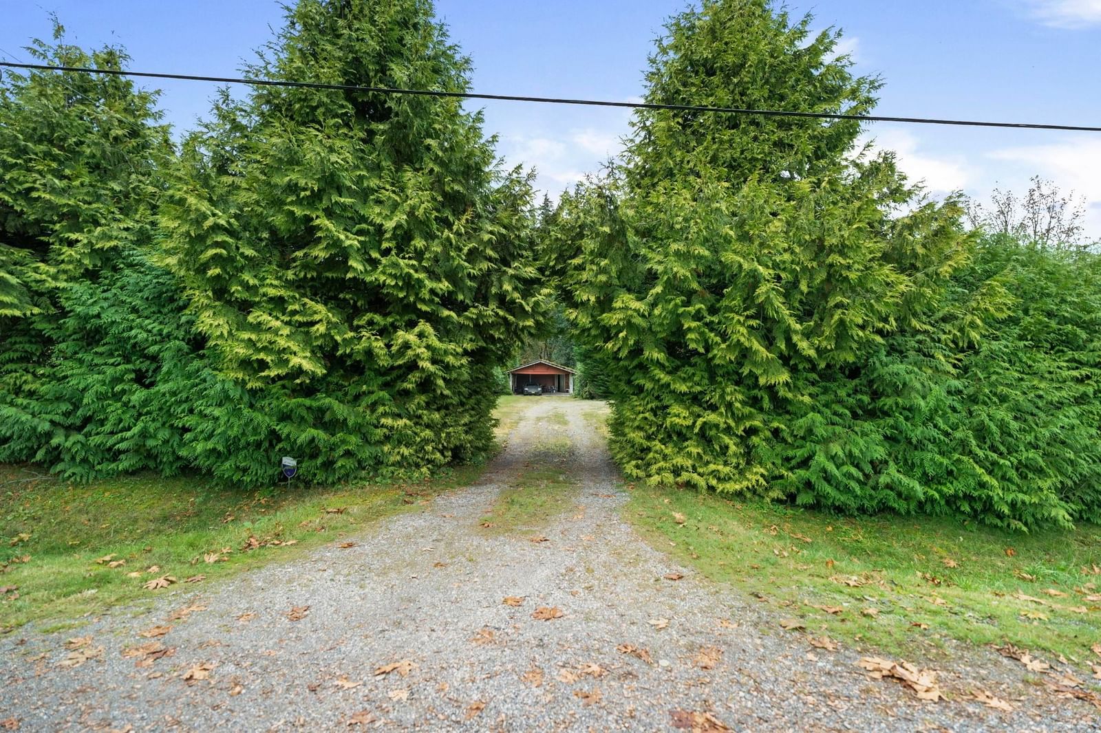 Listing Image 31