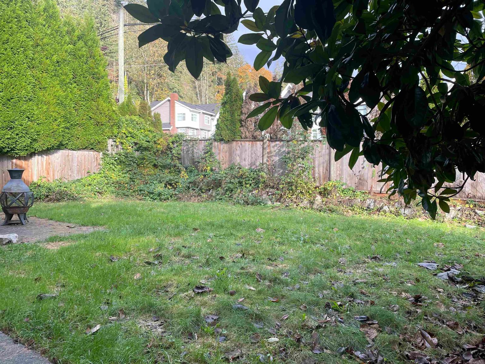 Listing Image 31