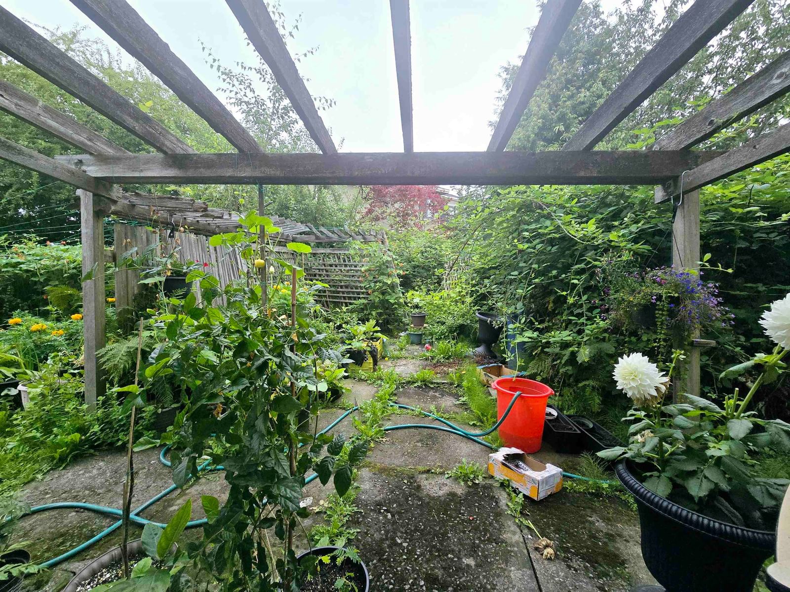 Listing Image 18