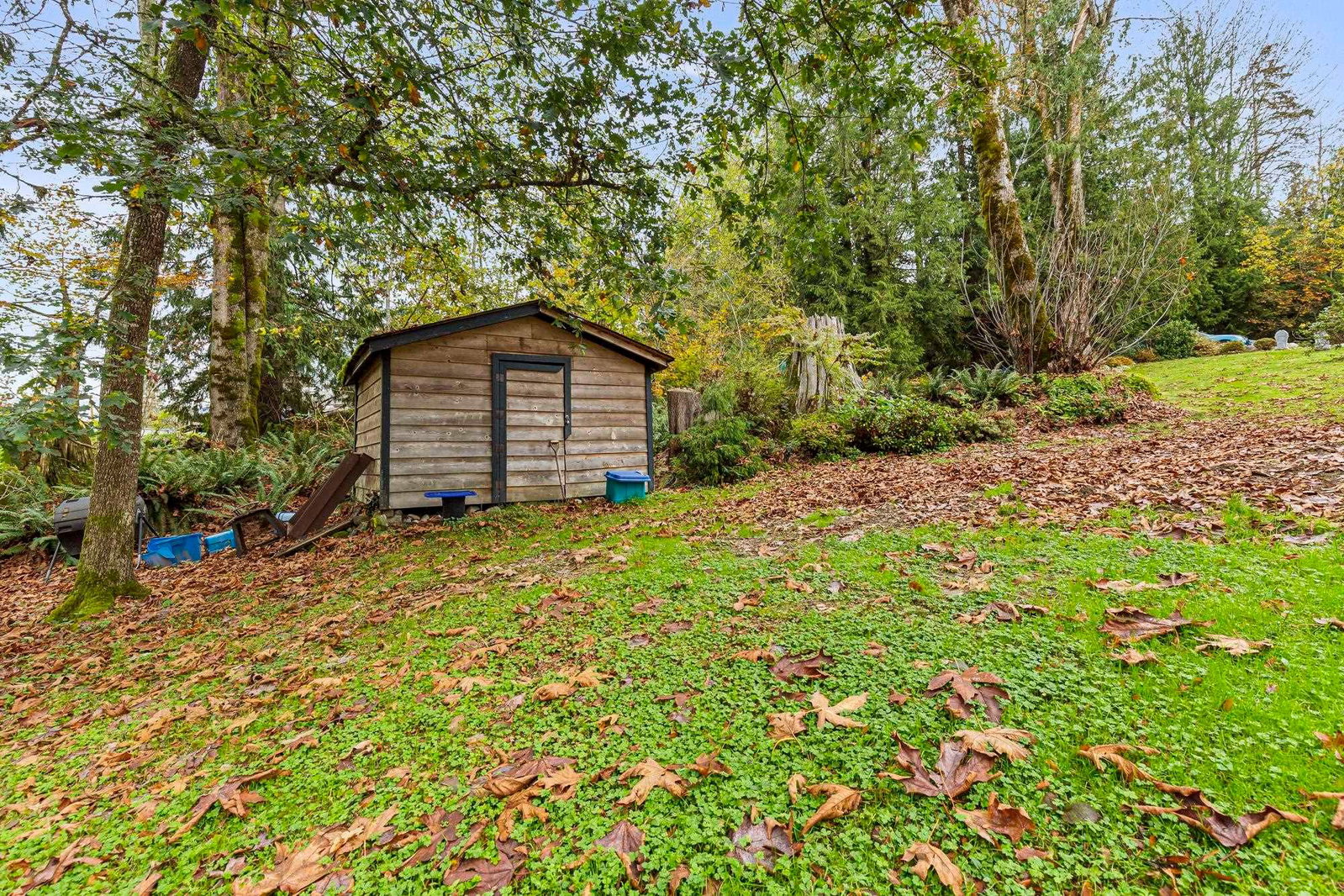 Listing Image 31