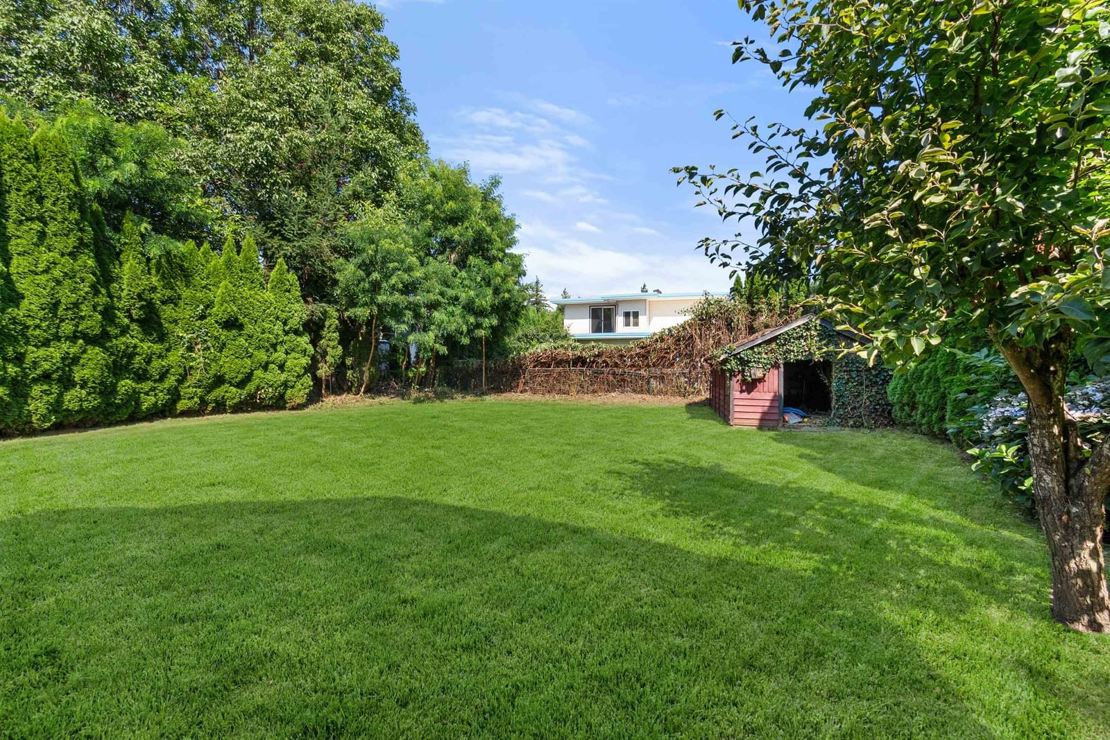 Listing Image 31