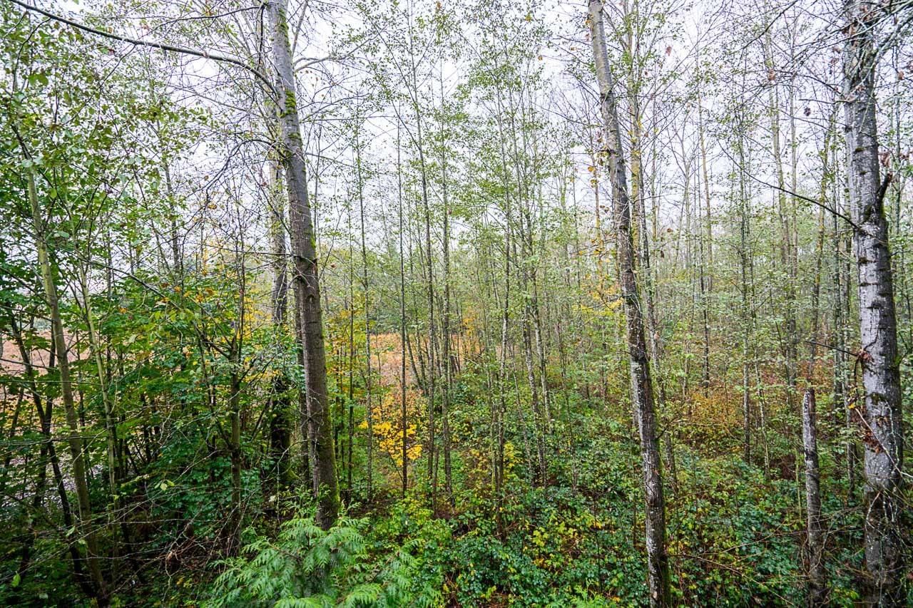 Listing Image 24
