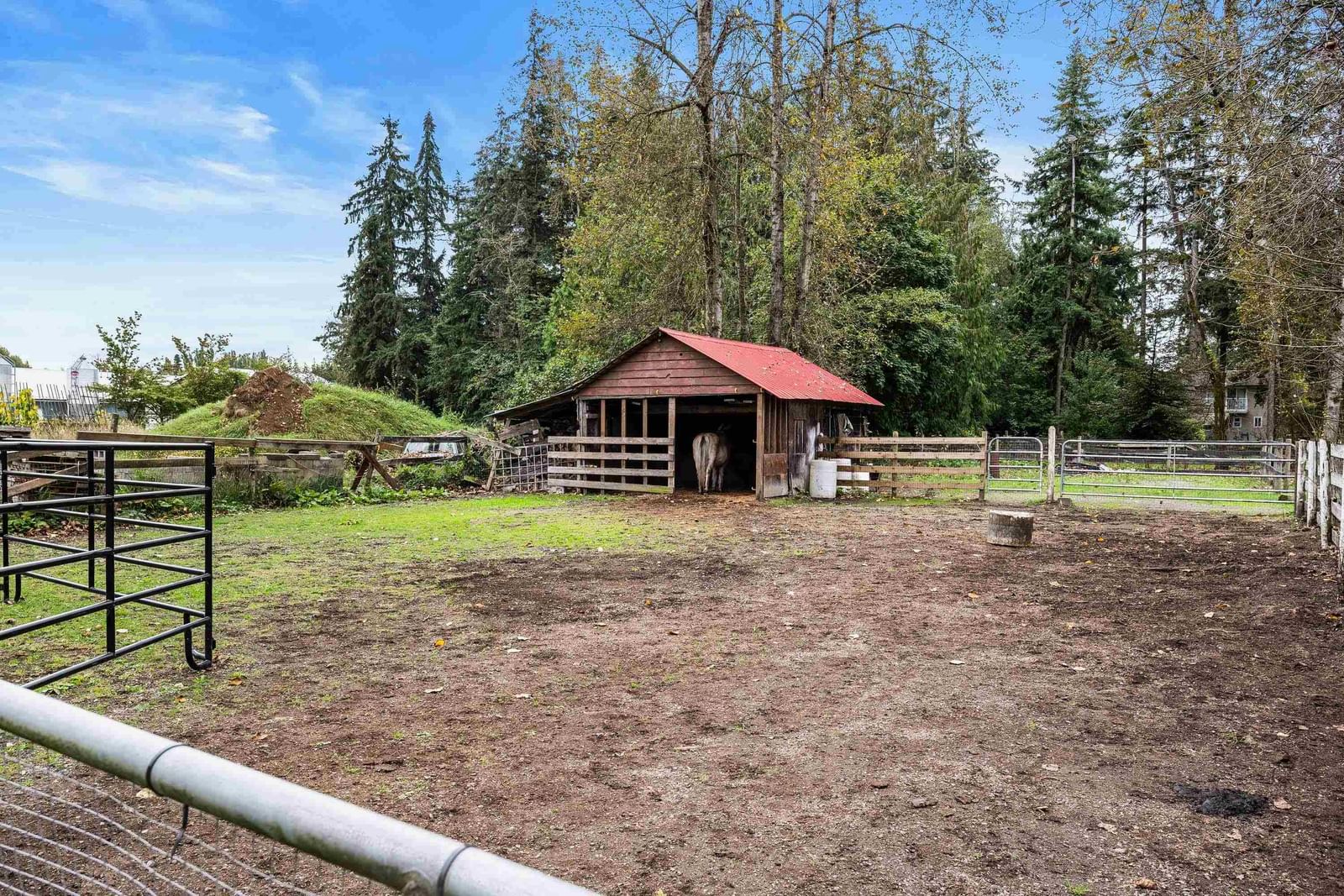 Listing Image 25