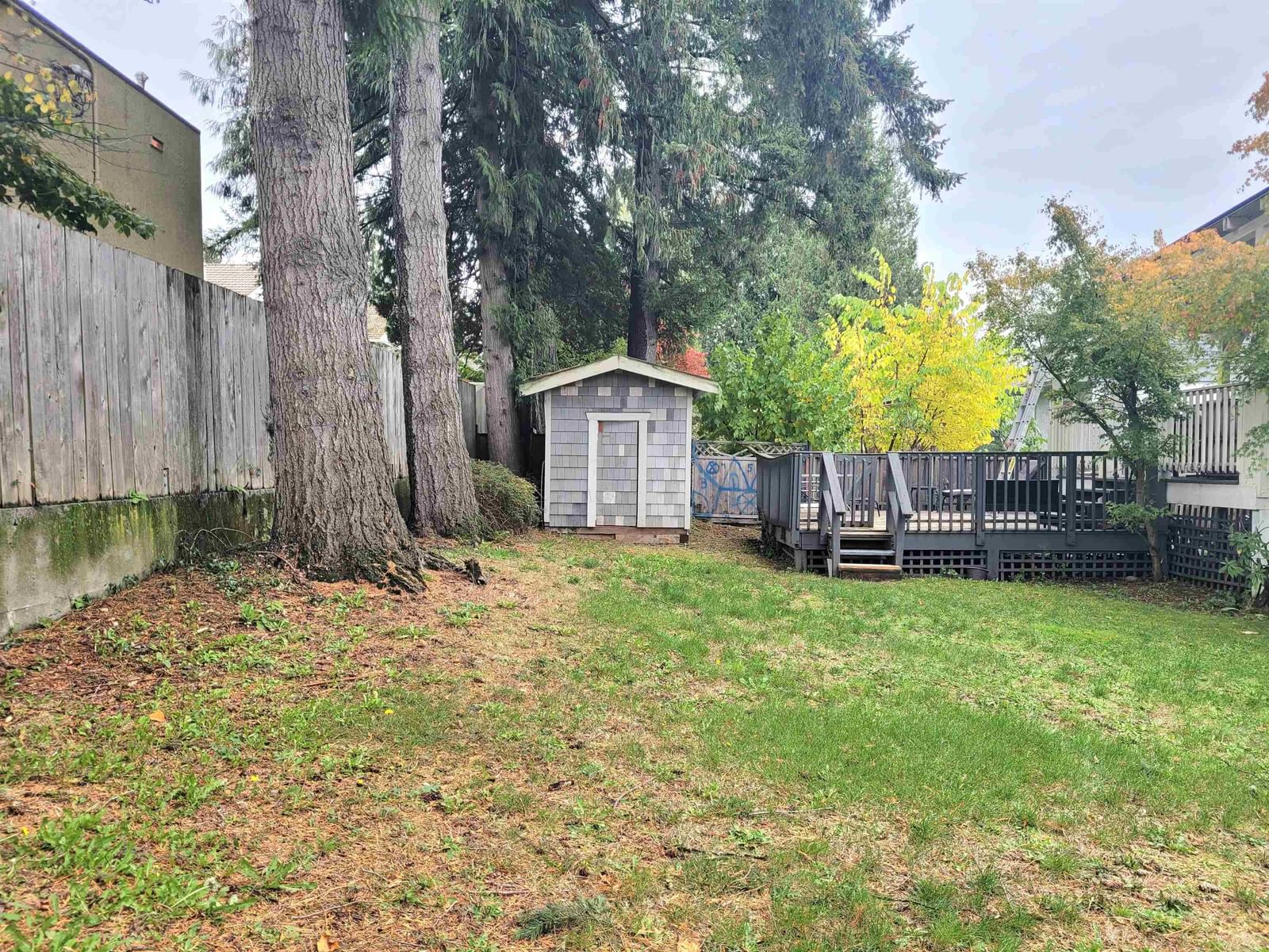 Listing Image 20