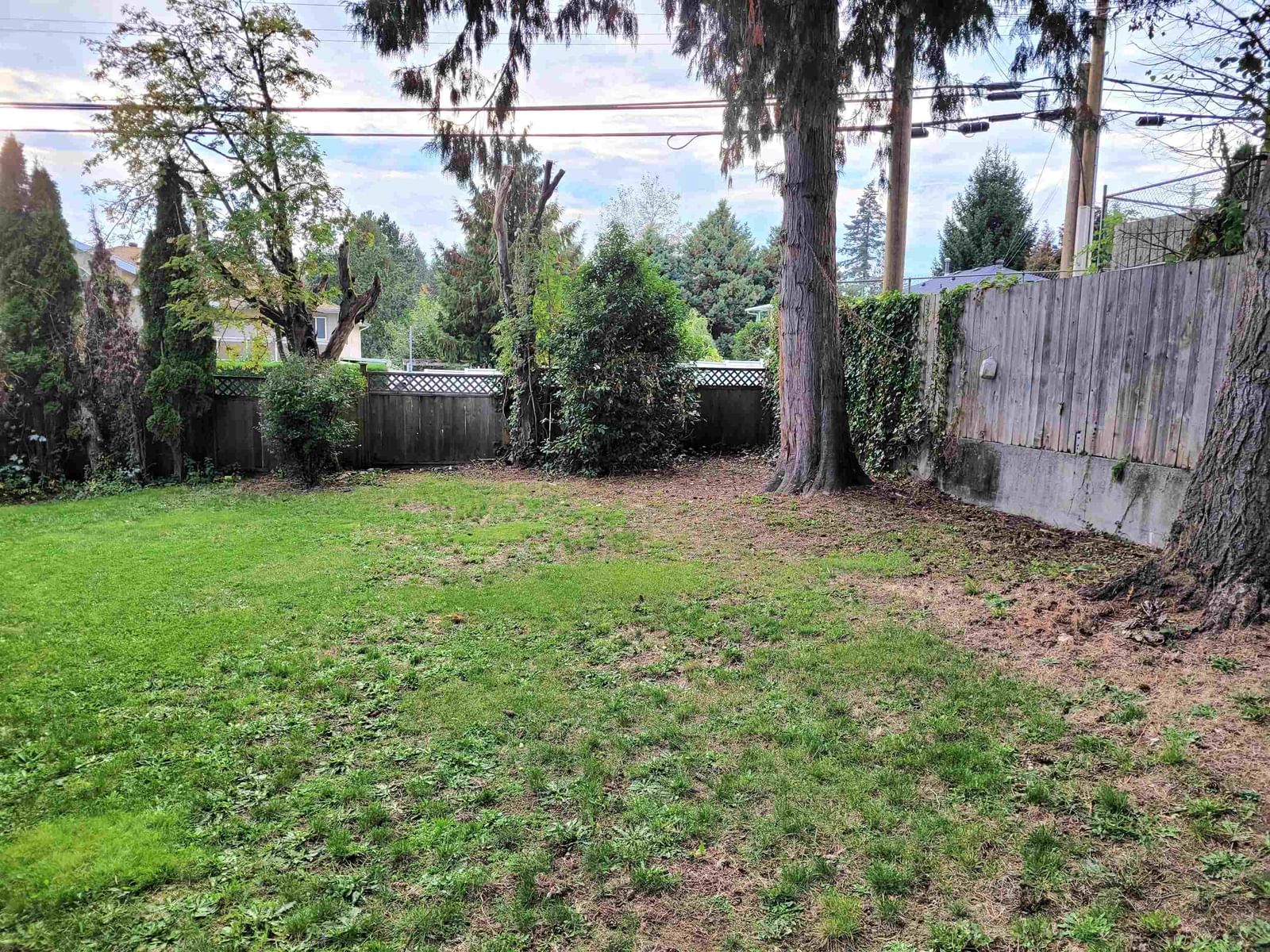 Listing Image 23