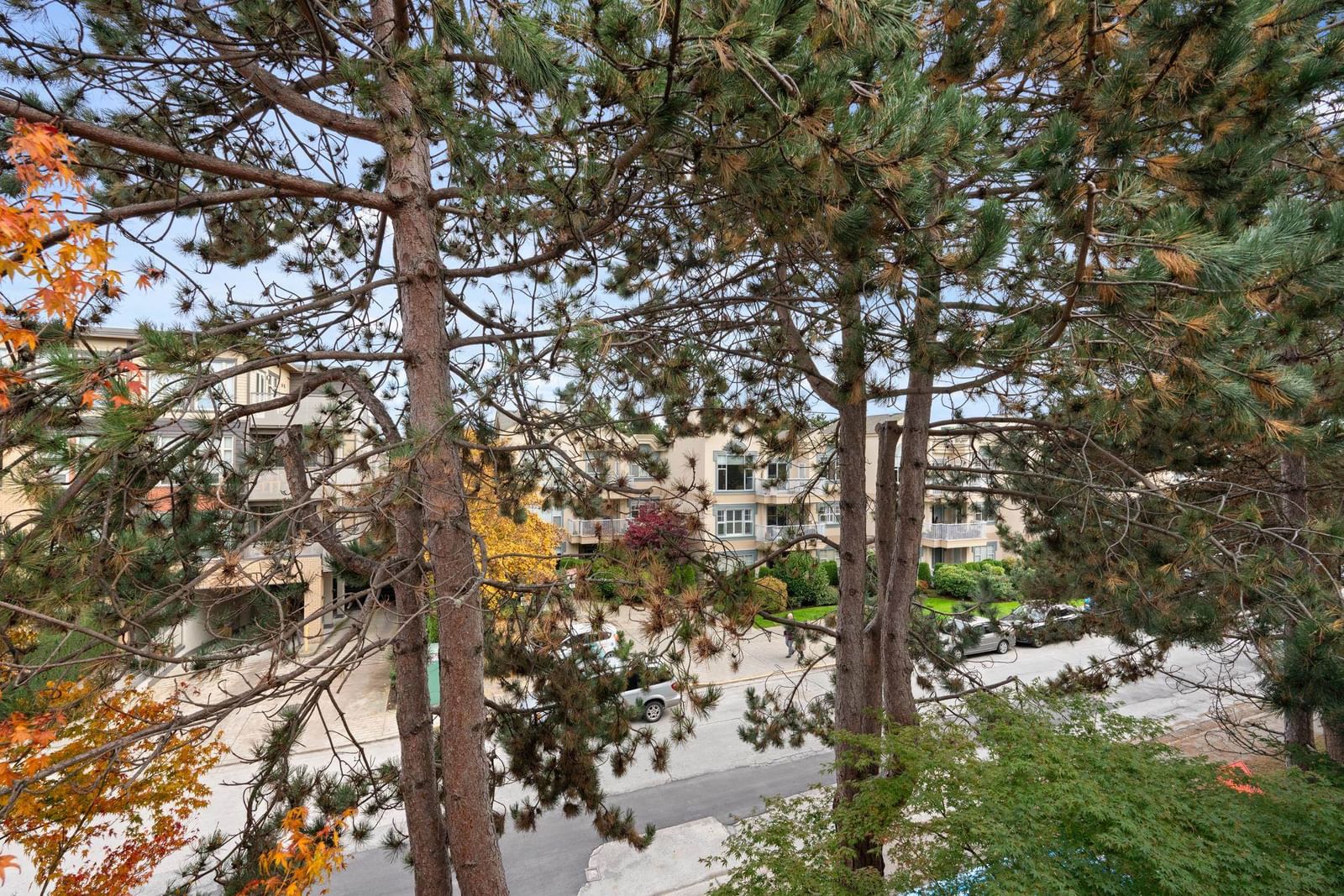 Listing Image 28
