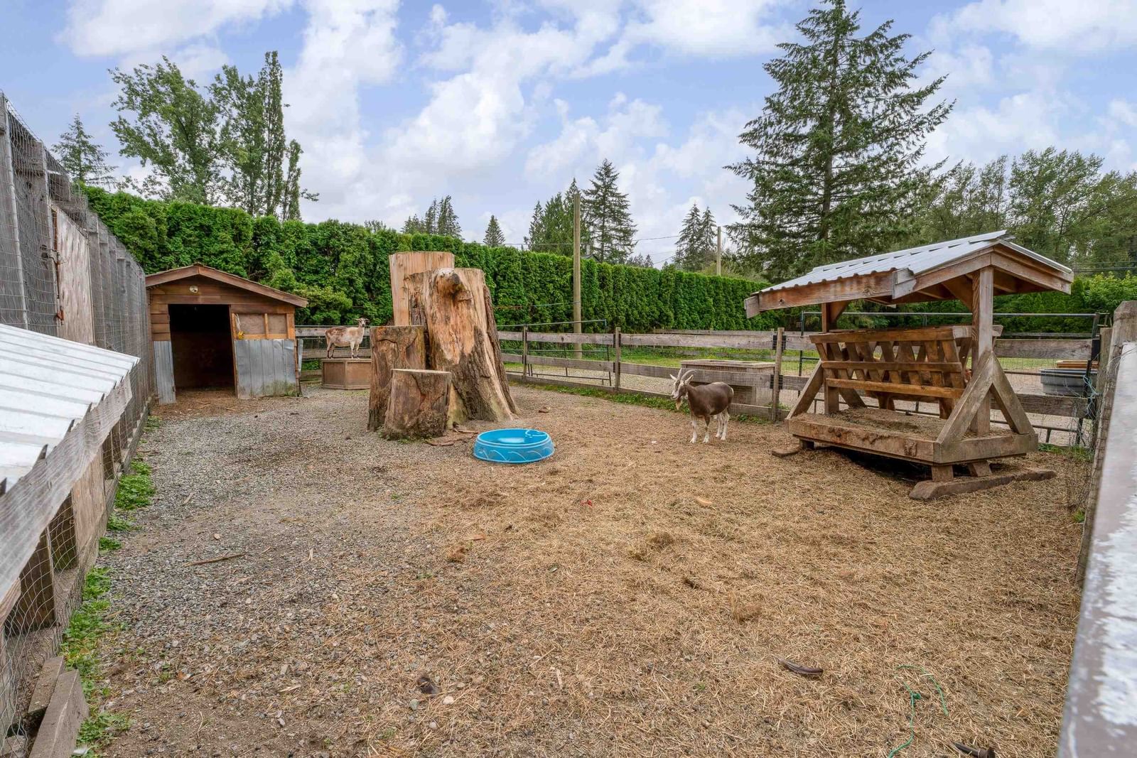 Listing Image 30