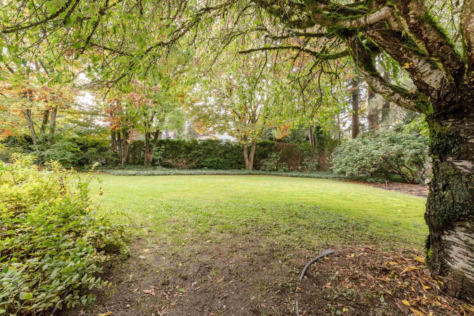 Listing Image 39