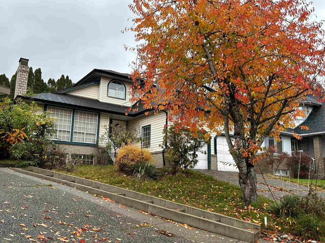 1135 Settlers Court