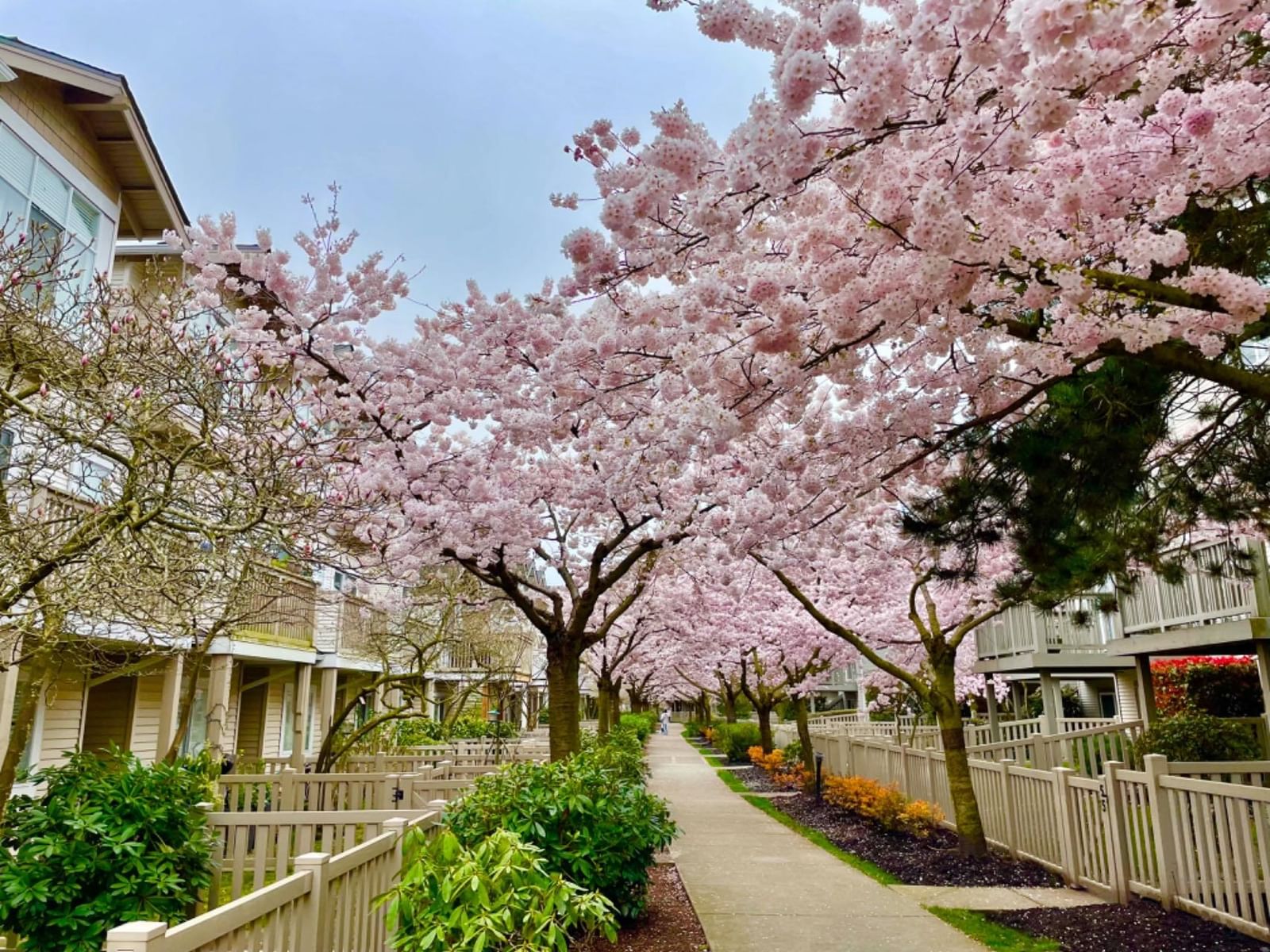 Listing Image 30