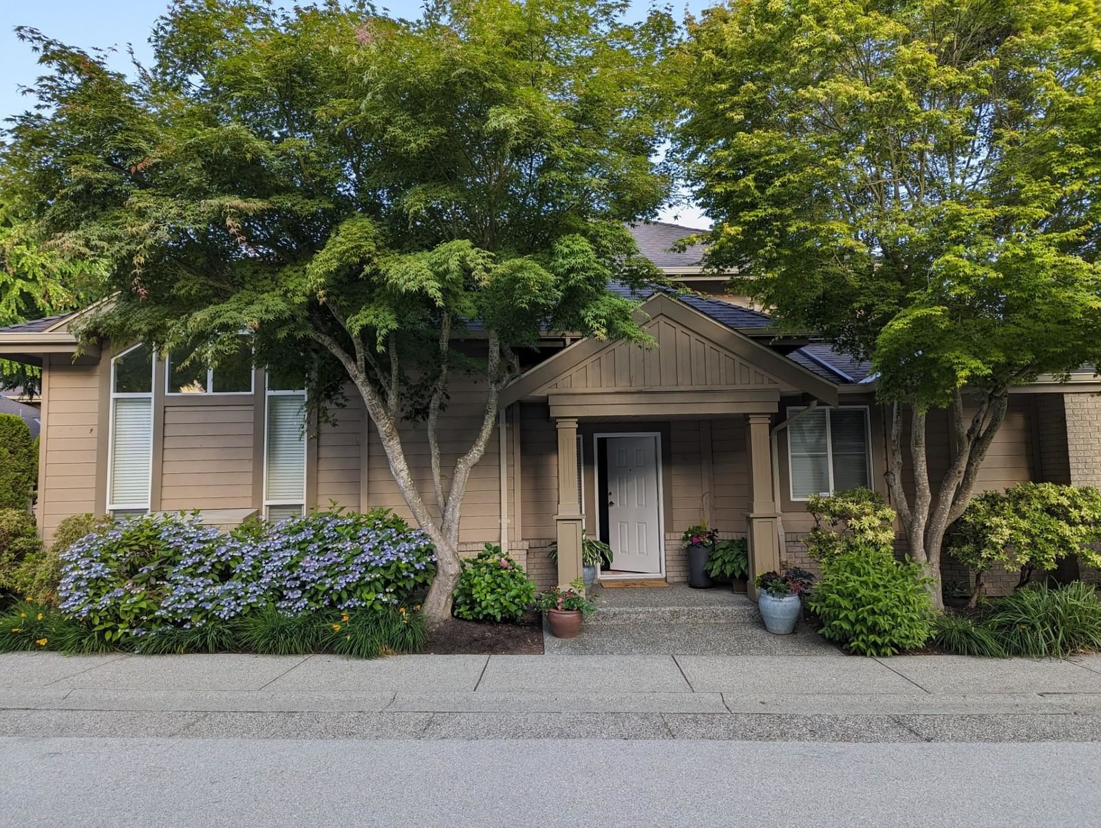Listing Image 34