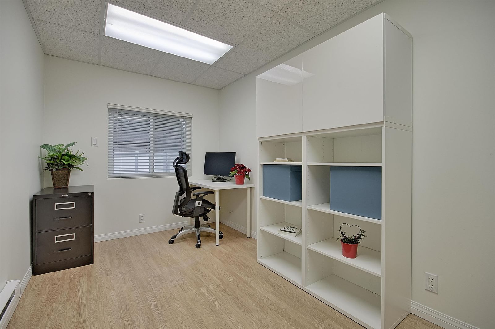 Listing Image 19