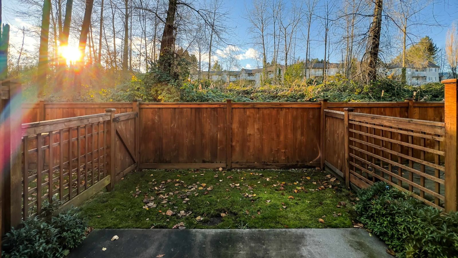 Listing Image 20
