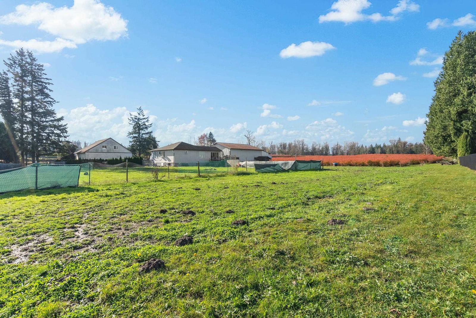 Listing Image 33