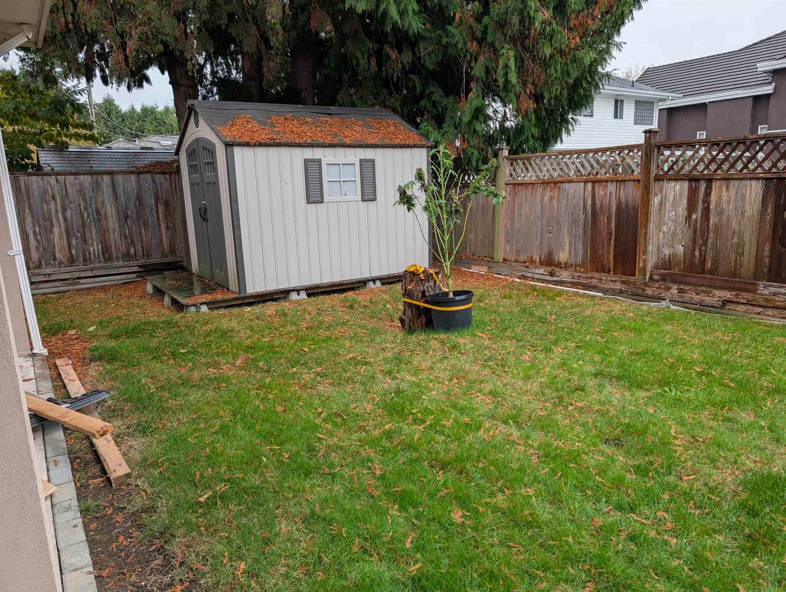 Listing Image 14