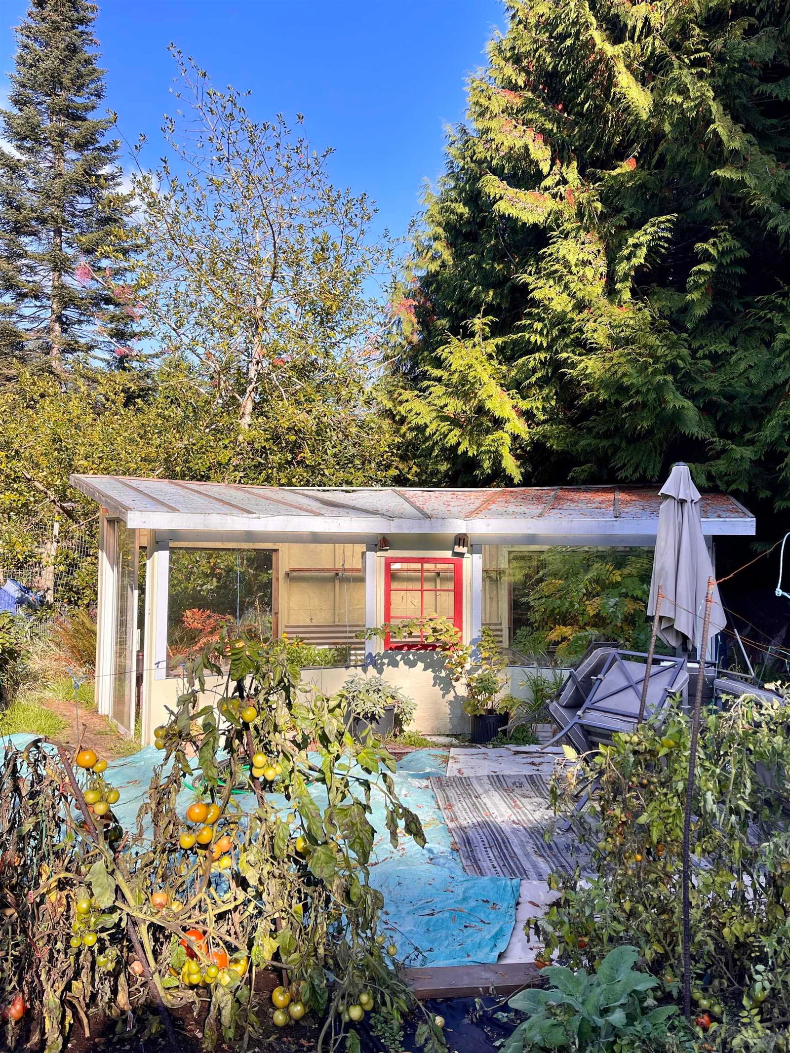 Listing Image 10