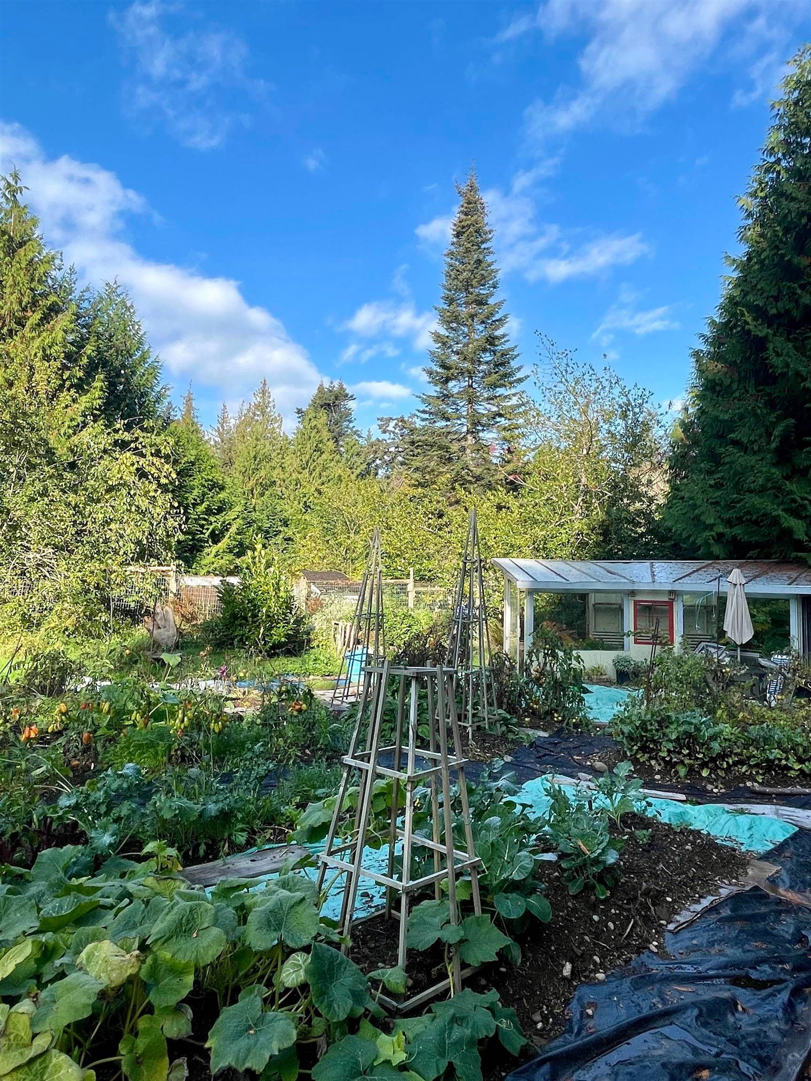 Listing Image 13