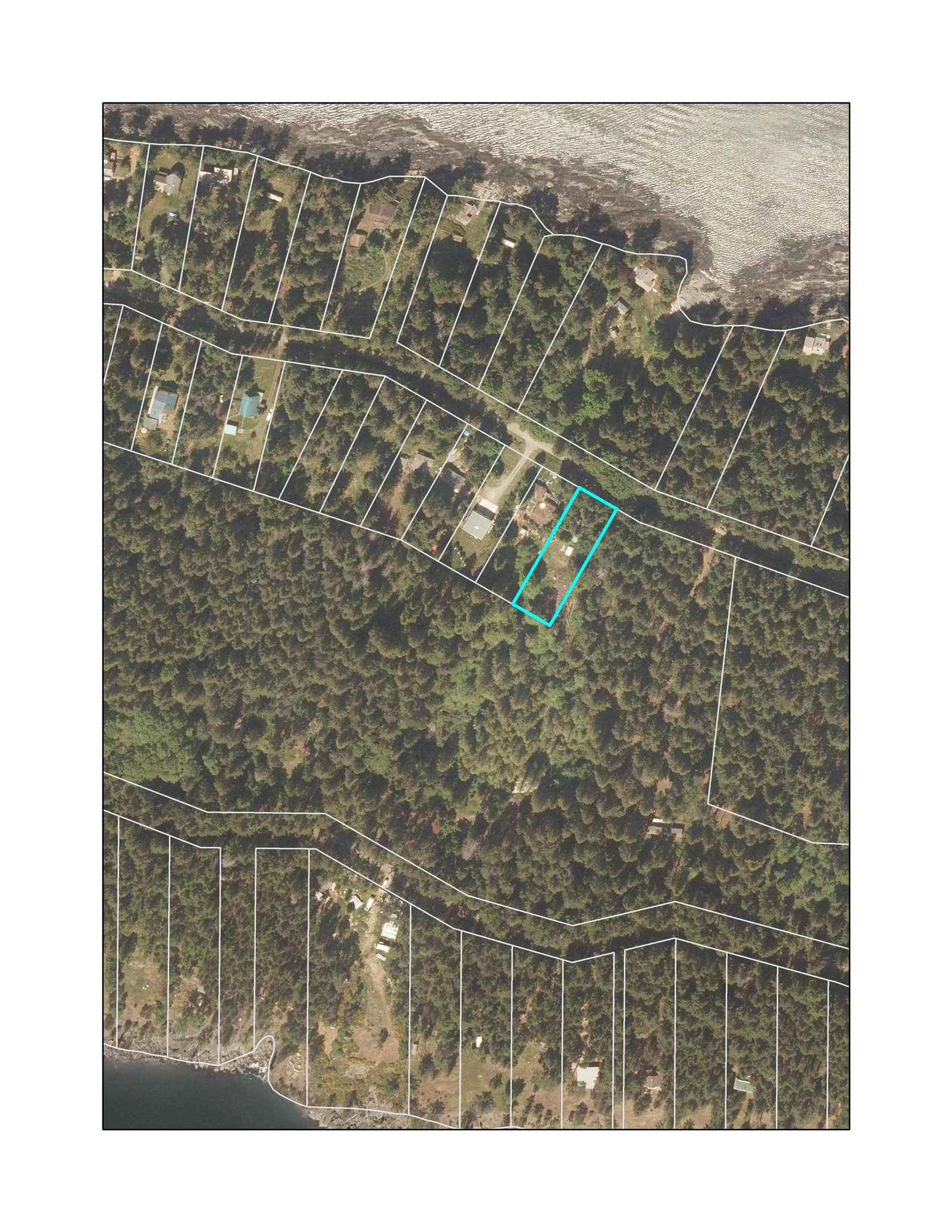 Listing Image 20
