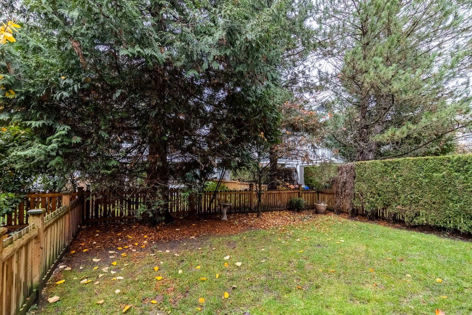 Listing Image 39