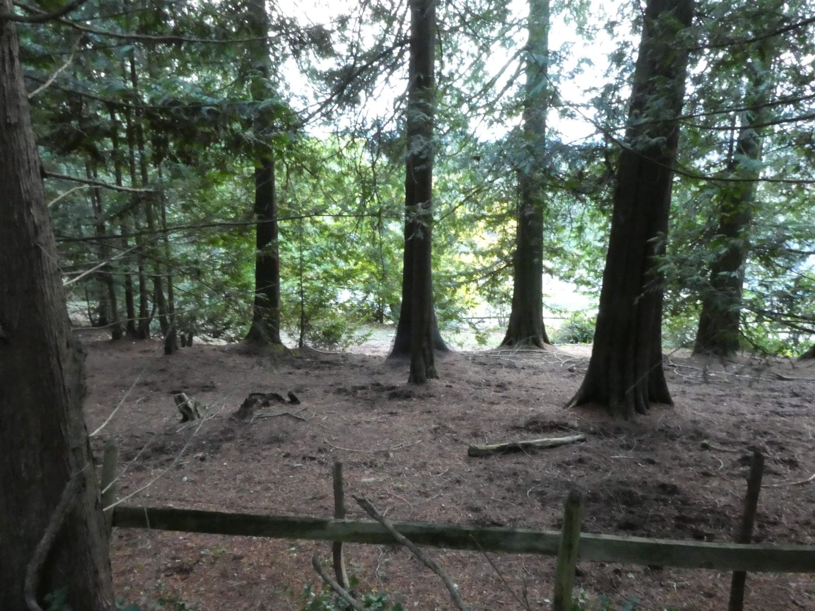 Listing Image 14