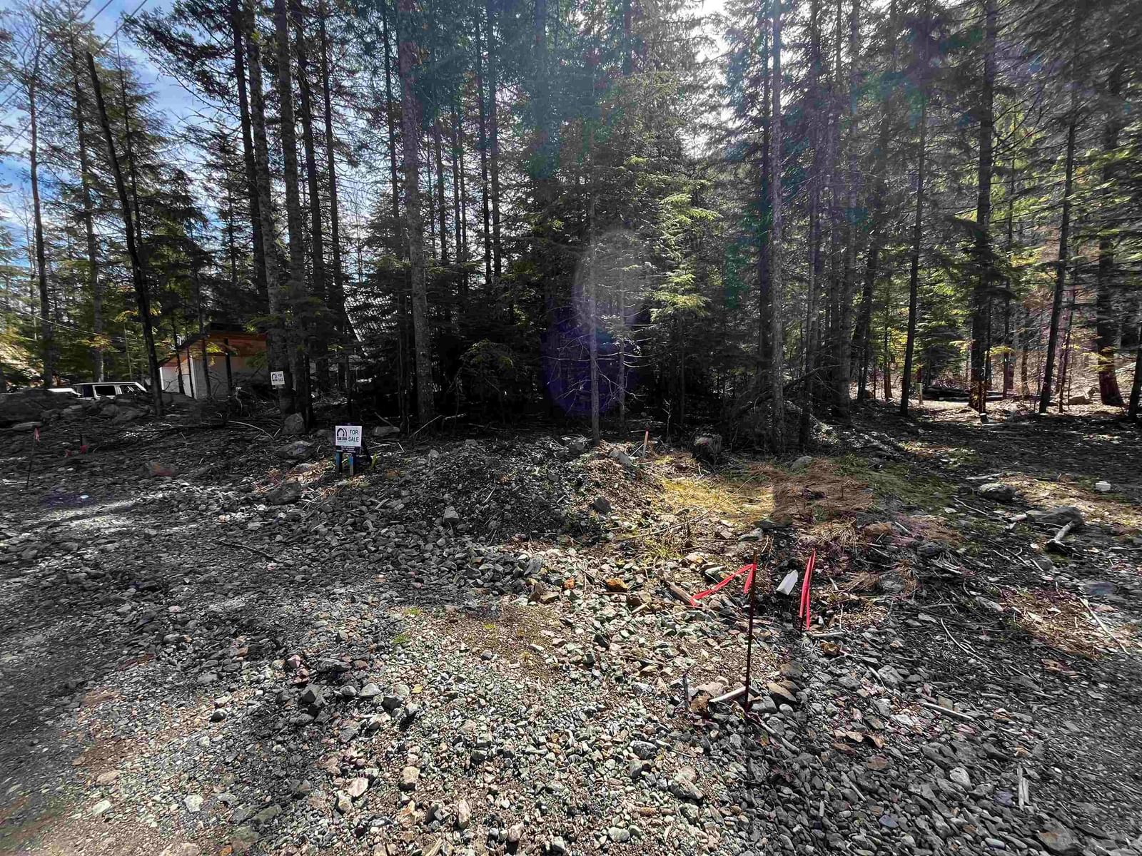Listing Image 5