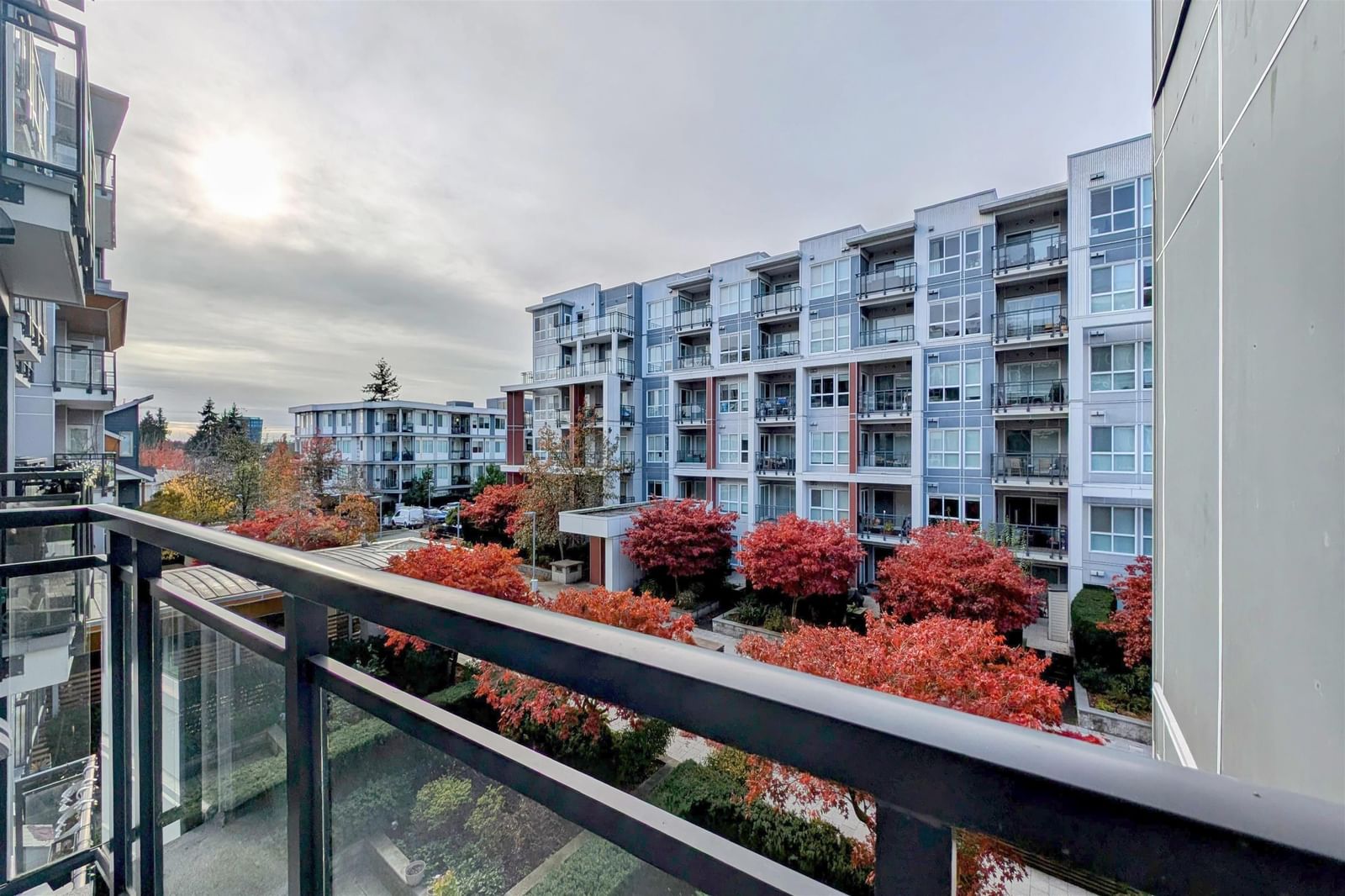 Listing Image 19
