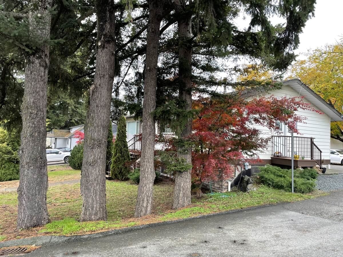 Listing Image 13