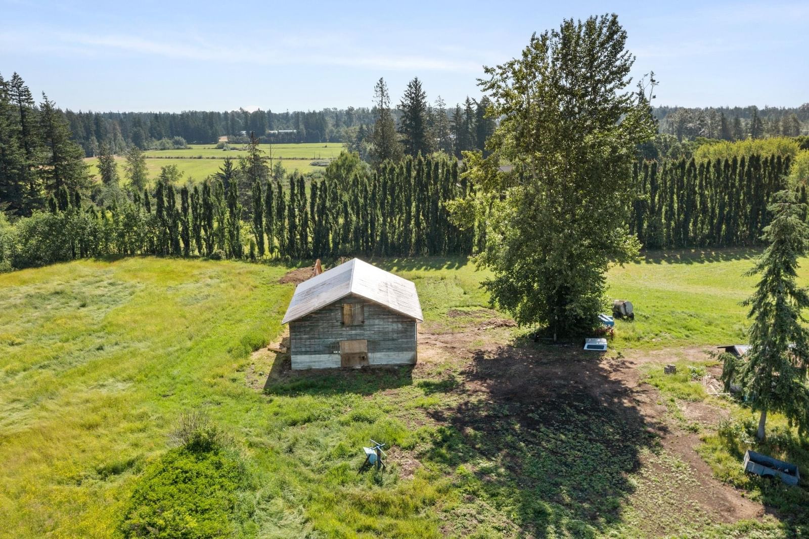 Listing Image 5