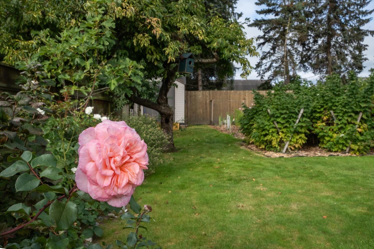 Listing Image 27