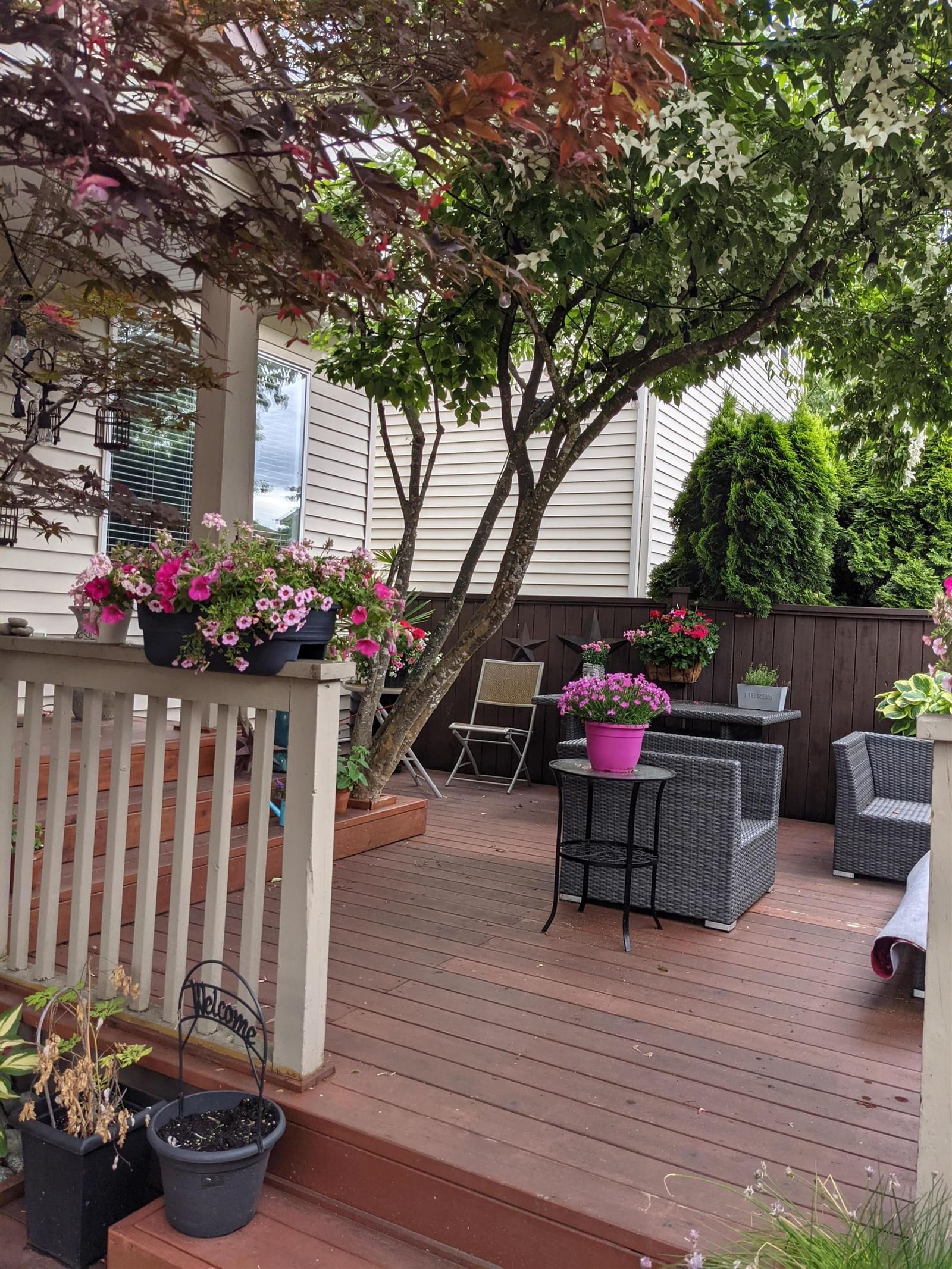 Listing Image 32