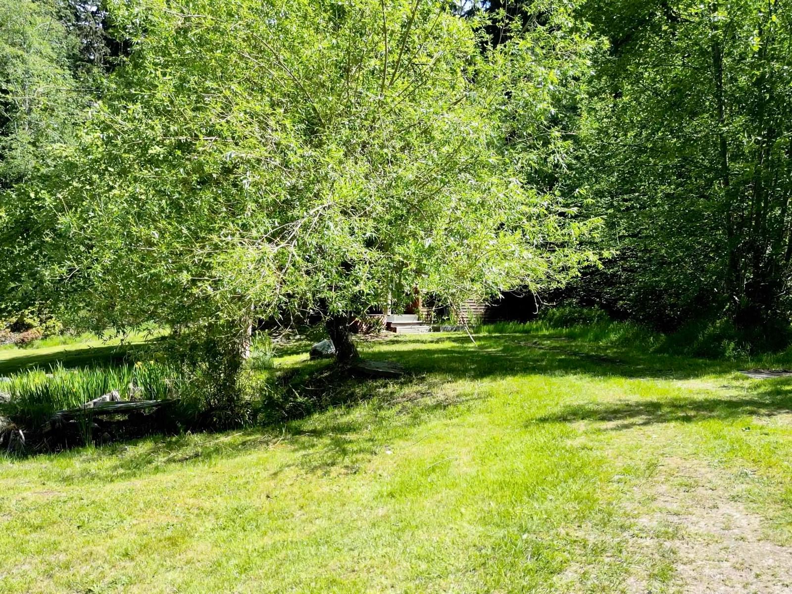 Listing Image 25