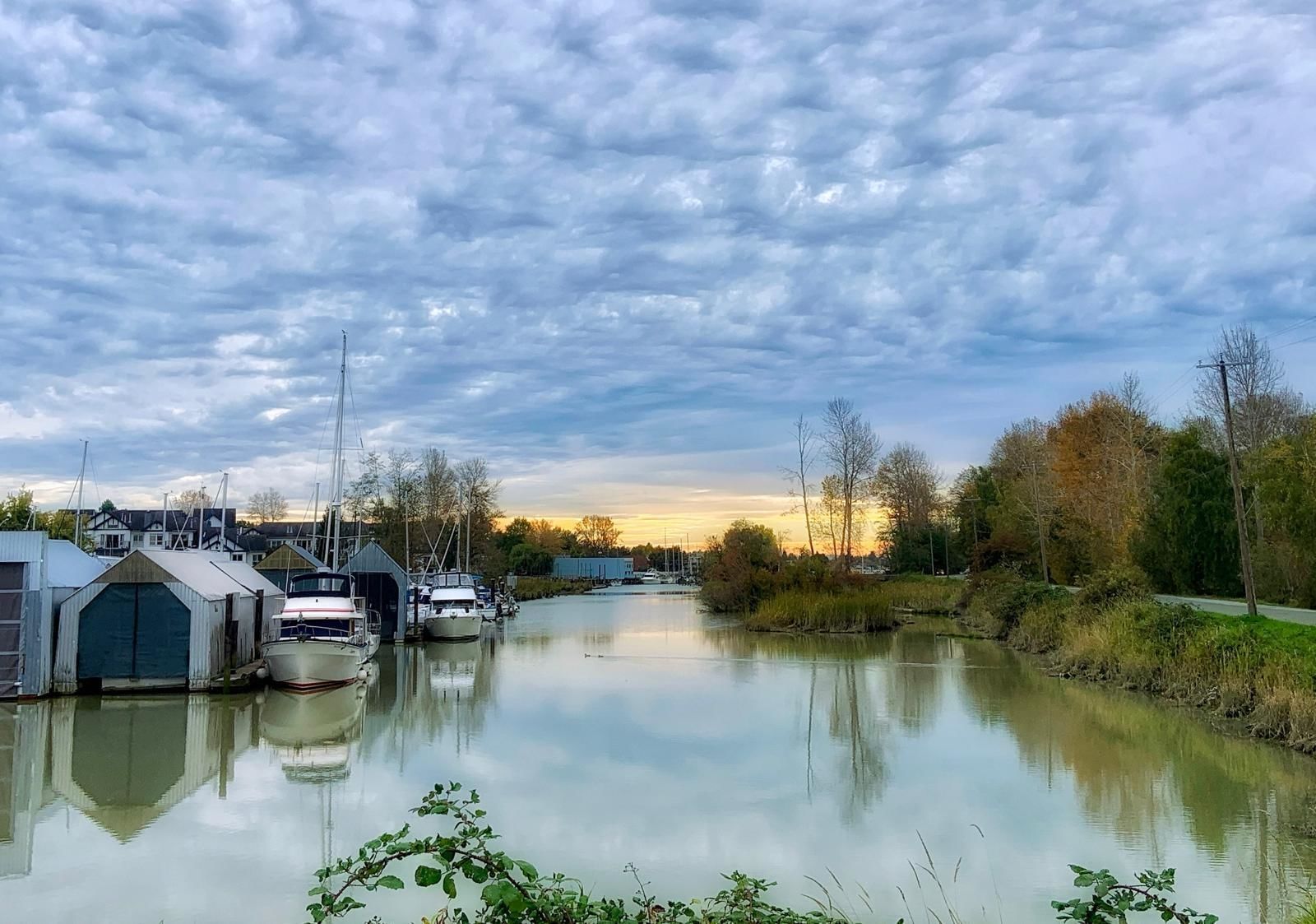 Listing Image 29